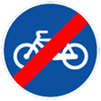 D13A